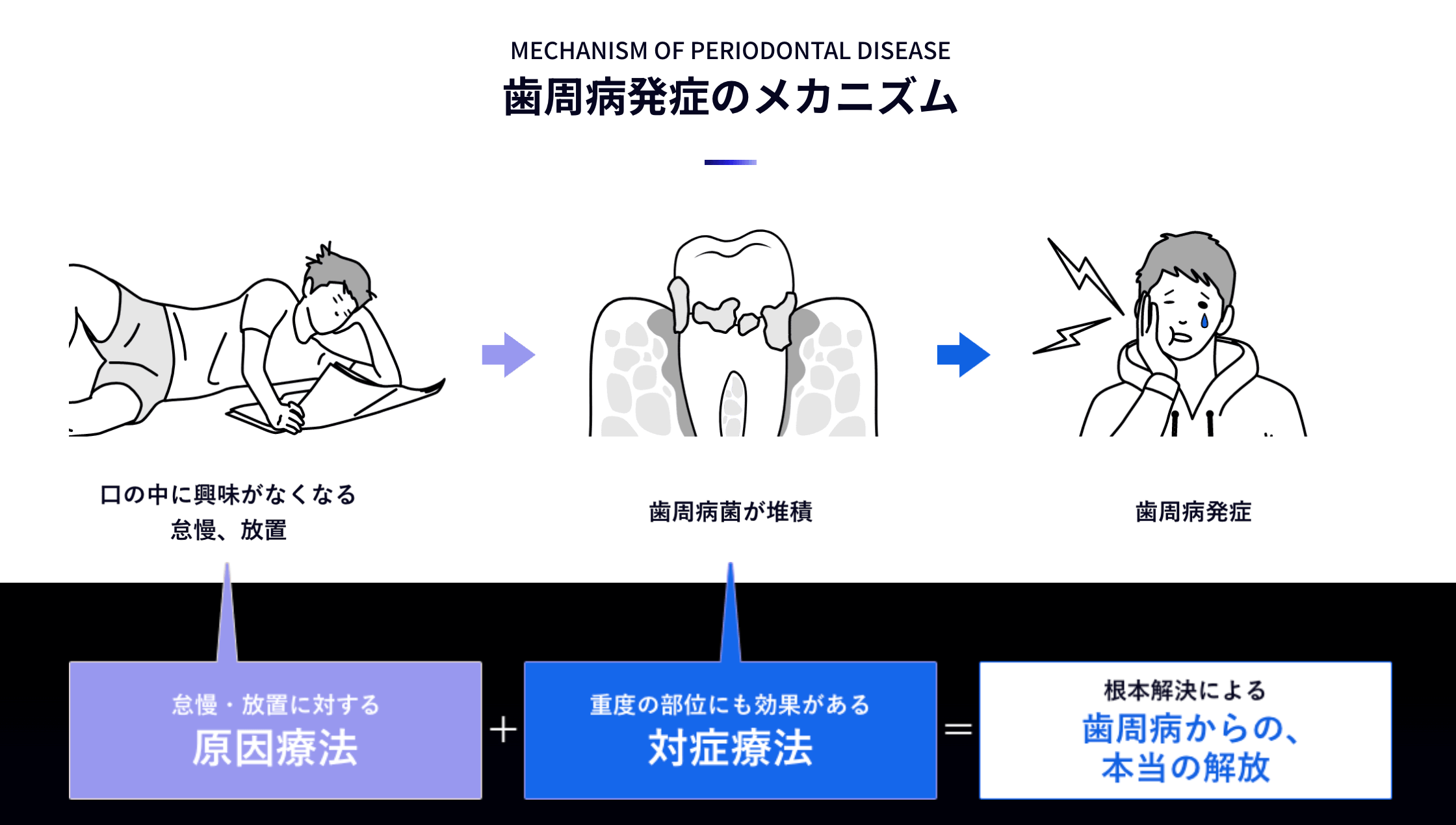 歯周病発症のメカニズム